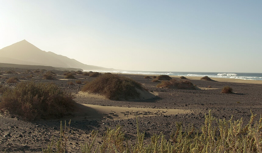 Fuerteventura surfen in Cofete