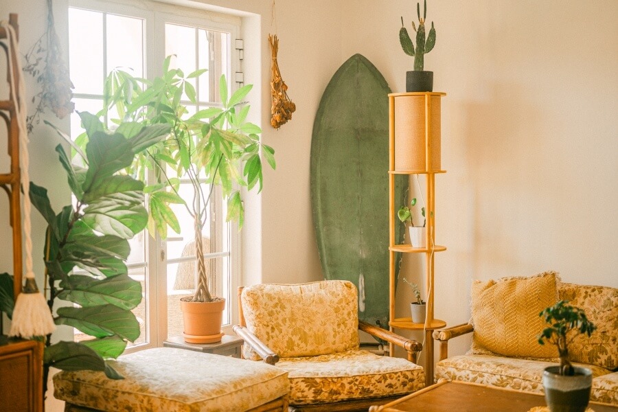 Das Lemontree Eco Surfhouse bietet die perfekte Wohlfühloase und die ideale Lage für Surfer Das Lemontree Eco Surfhouse bietet die perfekte Wohlfühloase und die ideale Lage für Surfer